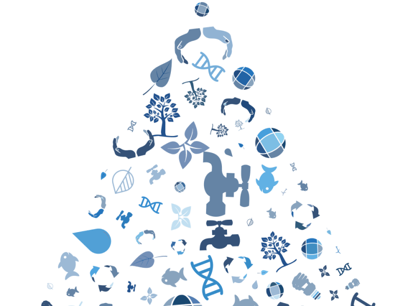 EL AGUA, COMPUESTO VITAL A&nbsp;REVALORAR