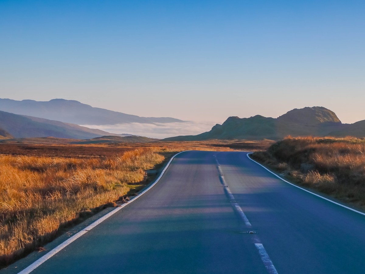 TODO LO QUE DICE EL&nbsp;CAMINO