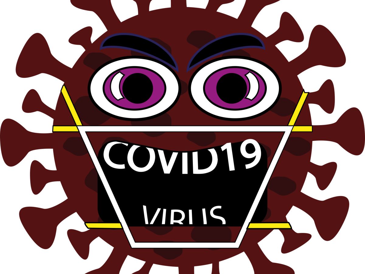 UN AÑO DE LA COVID-19 (5 de&nbsp;5)