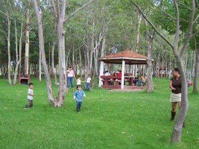 EL SAN LUIS VERDE QUE TODOS&nbsp;DESEAN