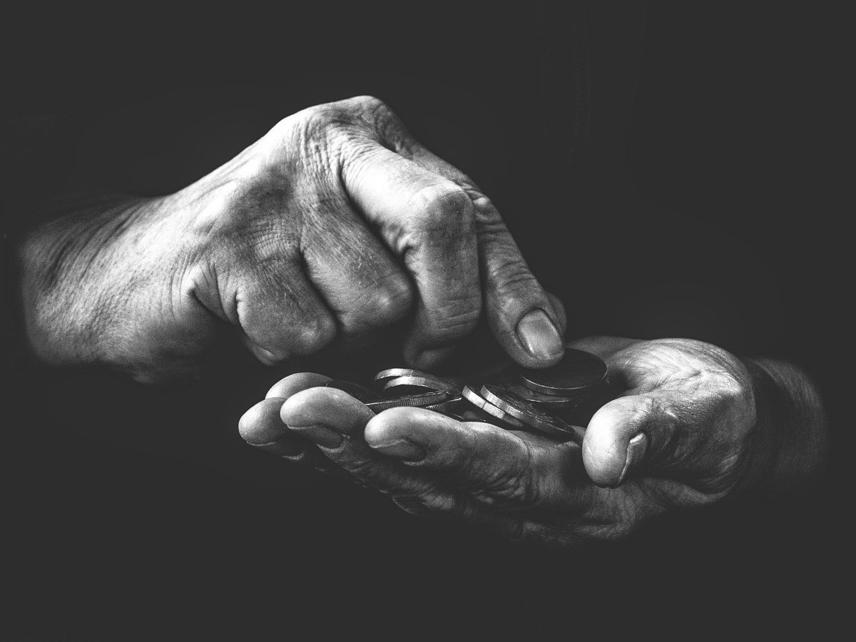 CON DINERO BAILA EL&nbsp;PERRO