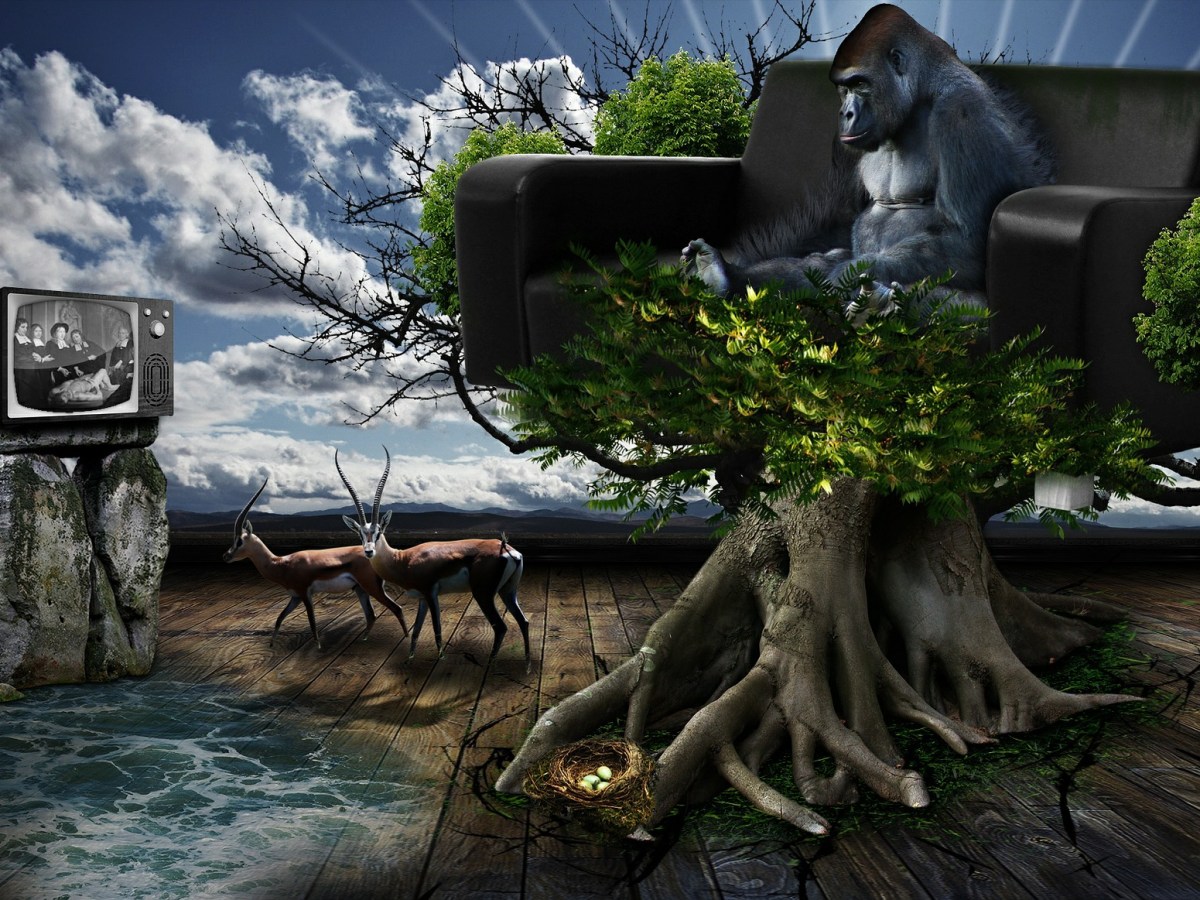 LA SOCIEDAD DEL&nbsp;CONSUMO