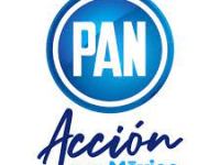 LAS PANISTAS POTOSINAS DEBERÁN REIVINDICAR A SU PARTIDO, ROMPER CON EL “PATRIARCADO&nbsp;MALDITO»