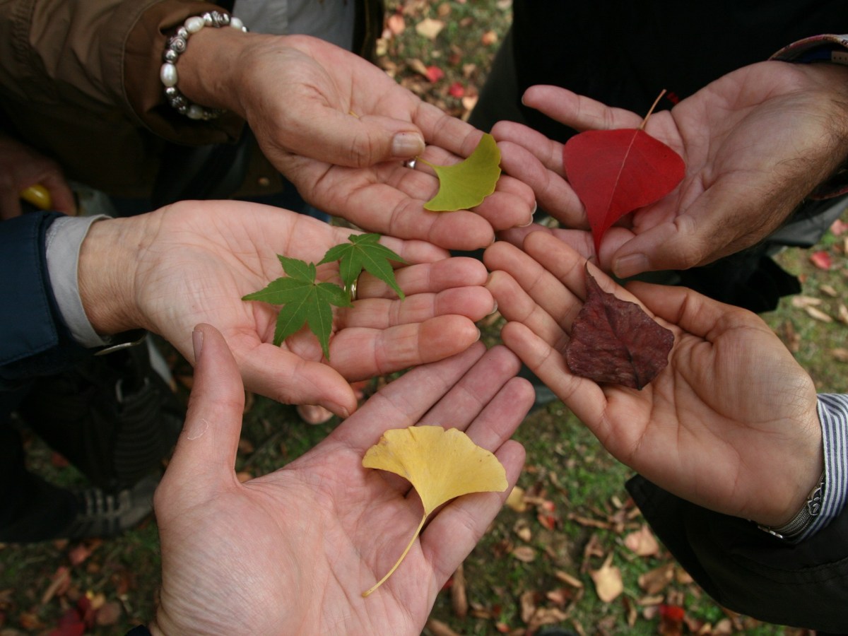 EL RESPETO BASE DE LA&nbsp;TOLERANCIA