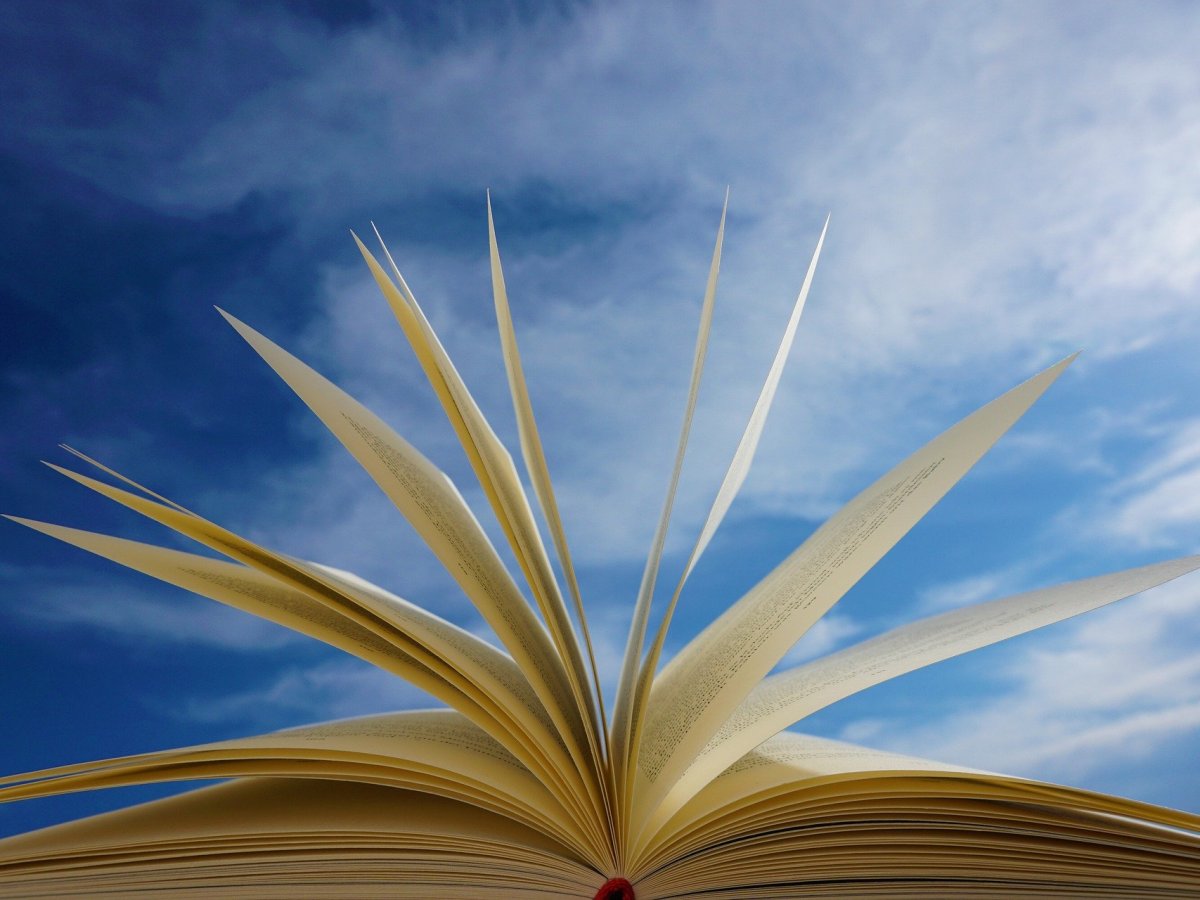 LETRAS MÚSICA Y TRAZOS DEL&nbsp;DESIERTO