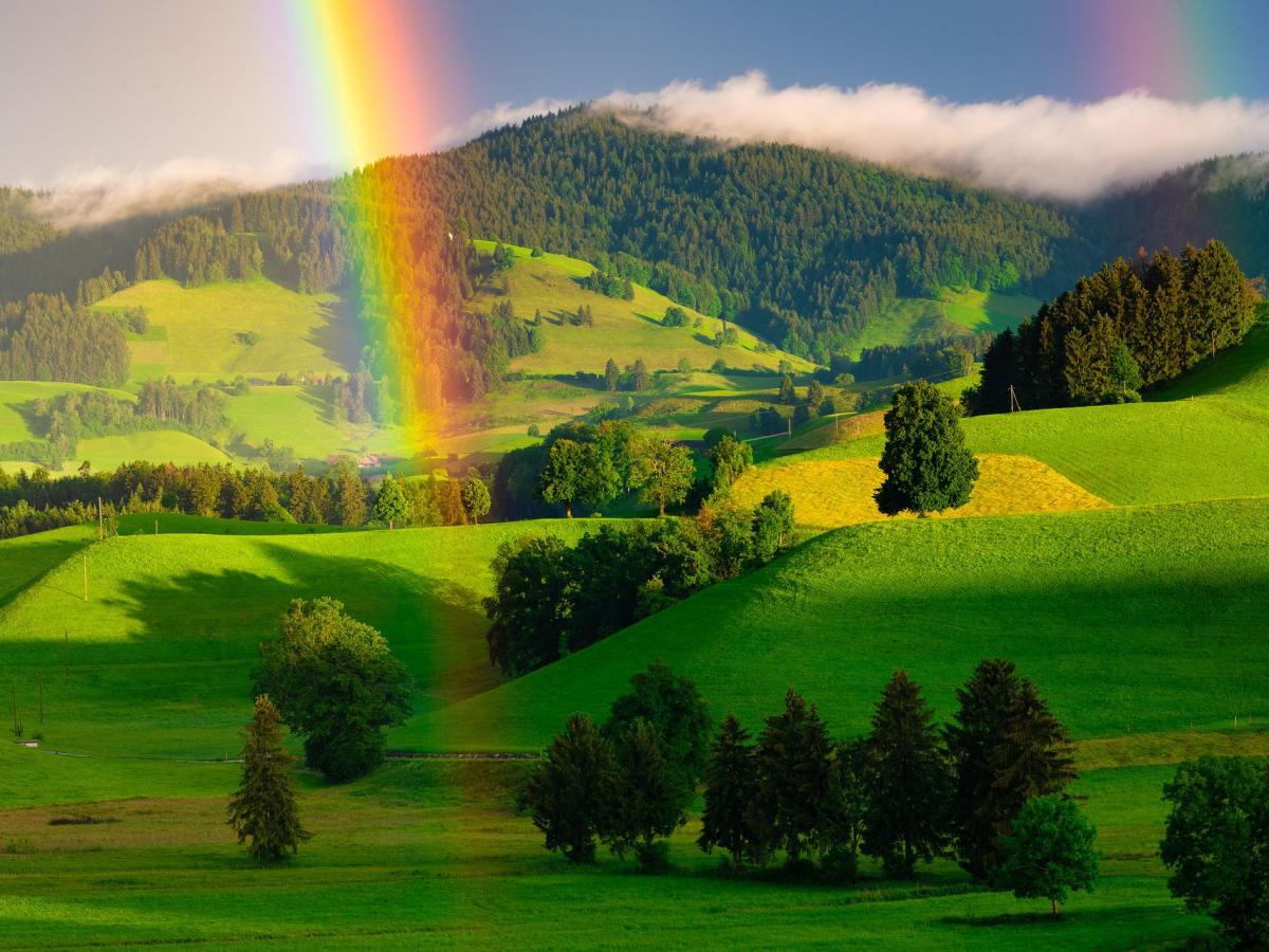 DISQUISICIONES SOBRE LA NECESIDAD DE UN NUEVO MODELO ECONÓMICO (1A&nbsp;PARTE)