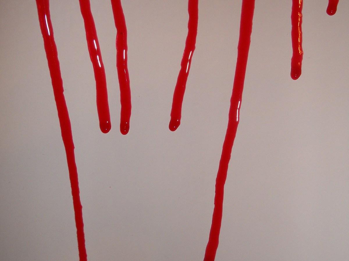 EL PAÍS SE ENCUENTRA SALPICADO DE SANGRE, DE TANTOS MUERTOS Y&nbsp;DESAPARECIDOS