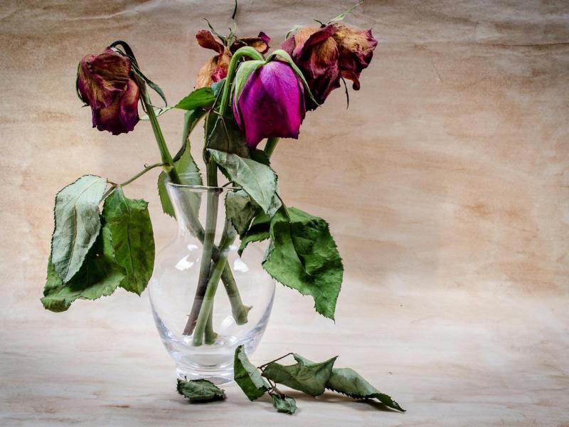 SÍ AFECTA LA SEQUÍA, MÁS LAS FALLAS DEL REALITO. ACUAFÉRICO COMO&nbsp;SOLUCIÓN