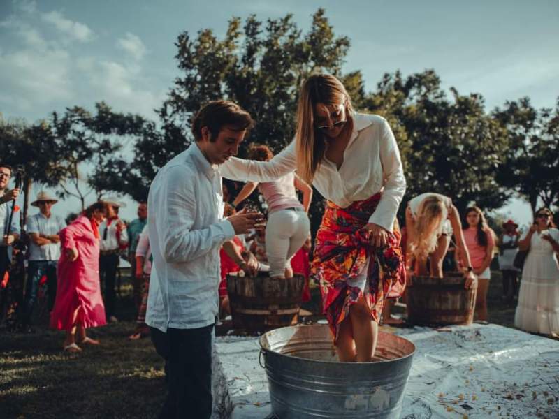 EXITOSA VENDIMIA EN LA&nbsp;MALANCA