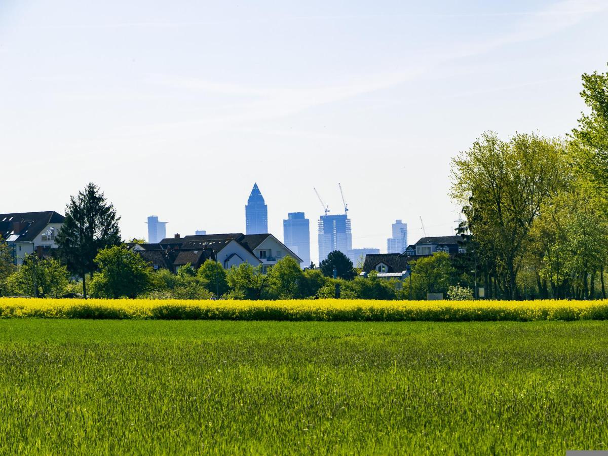 DISQUISICIONES SOBRE LA NECESIDAD DE UN NUEVO MODELO ECONÓMICO&nbsp;(EPÍLOGO).