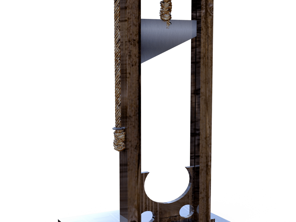 EL PALOMAZO DE LA “PENA DE&nbsp;MUERTE”