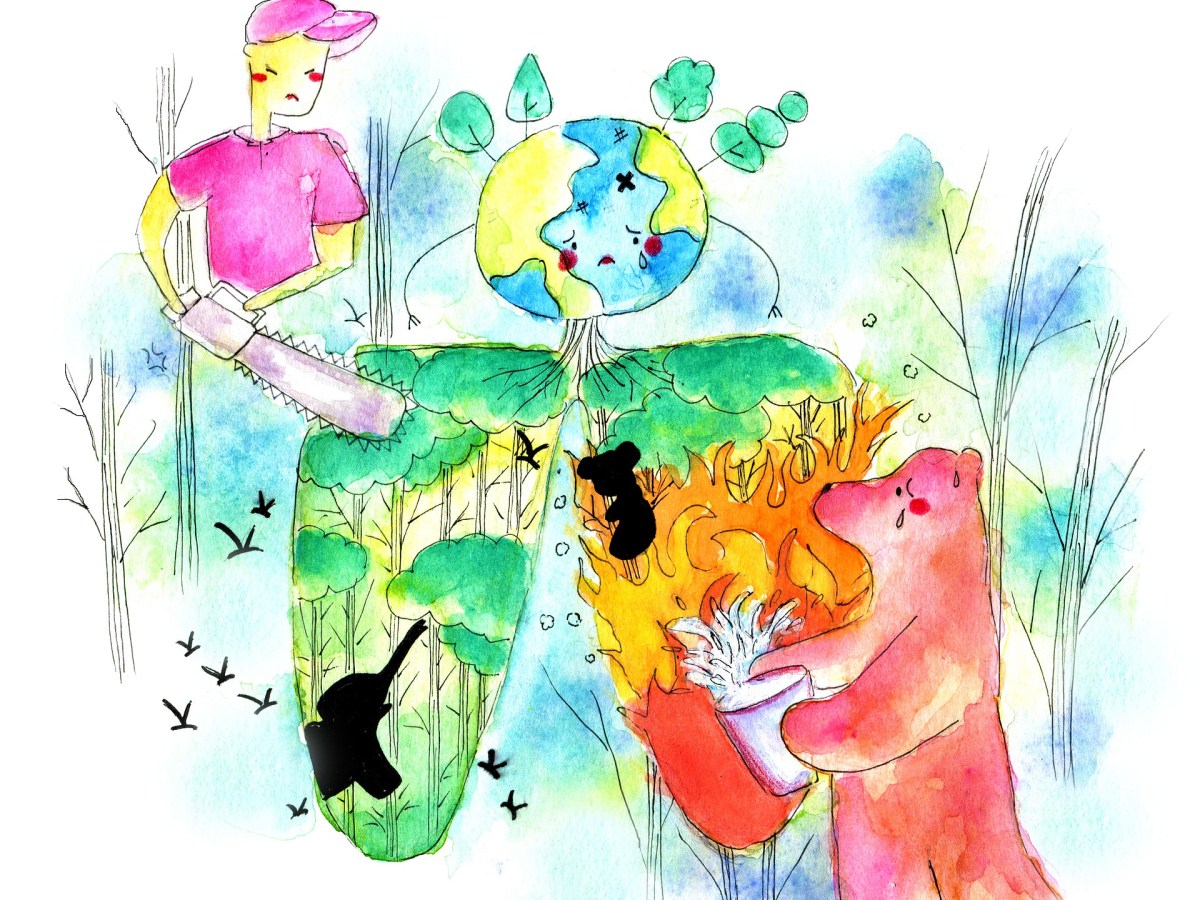 SE PODAN LAS SELVAS Y  MUERE LA VIDA&nbsp;SILVESTRE