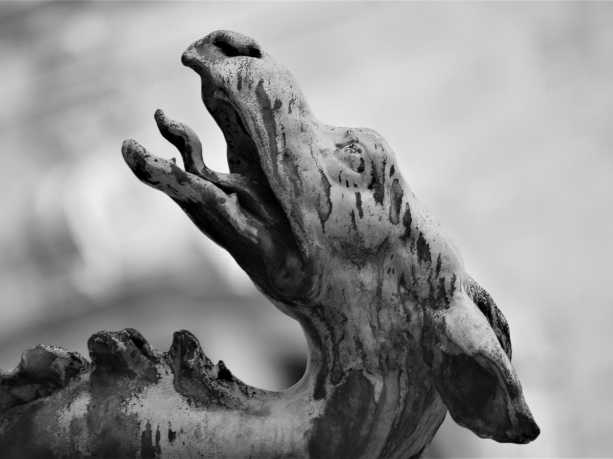 ALERTA CON “PERRO DEL INFIERNO”, VARIANTE DEL&nbsp;COVID