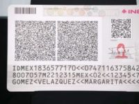 HAGAMOS NUESTRO “EL INE VIVE, LA DEMOCRACIA&nbsp;SIGUE”