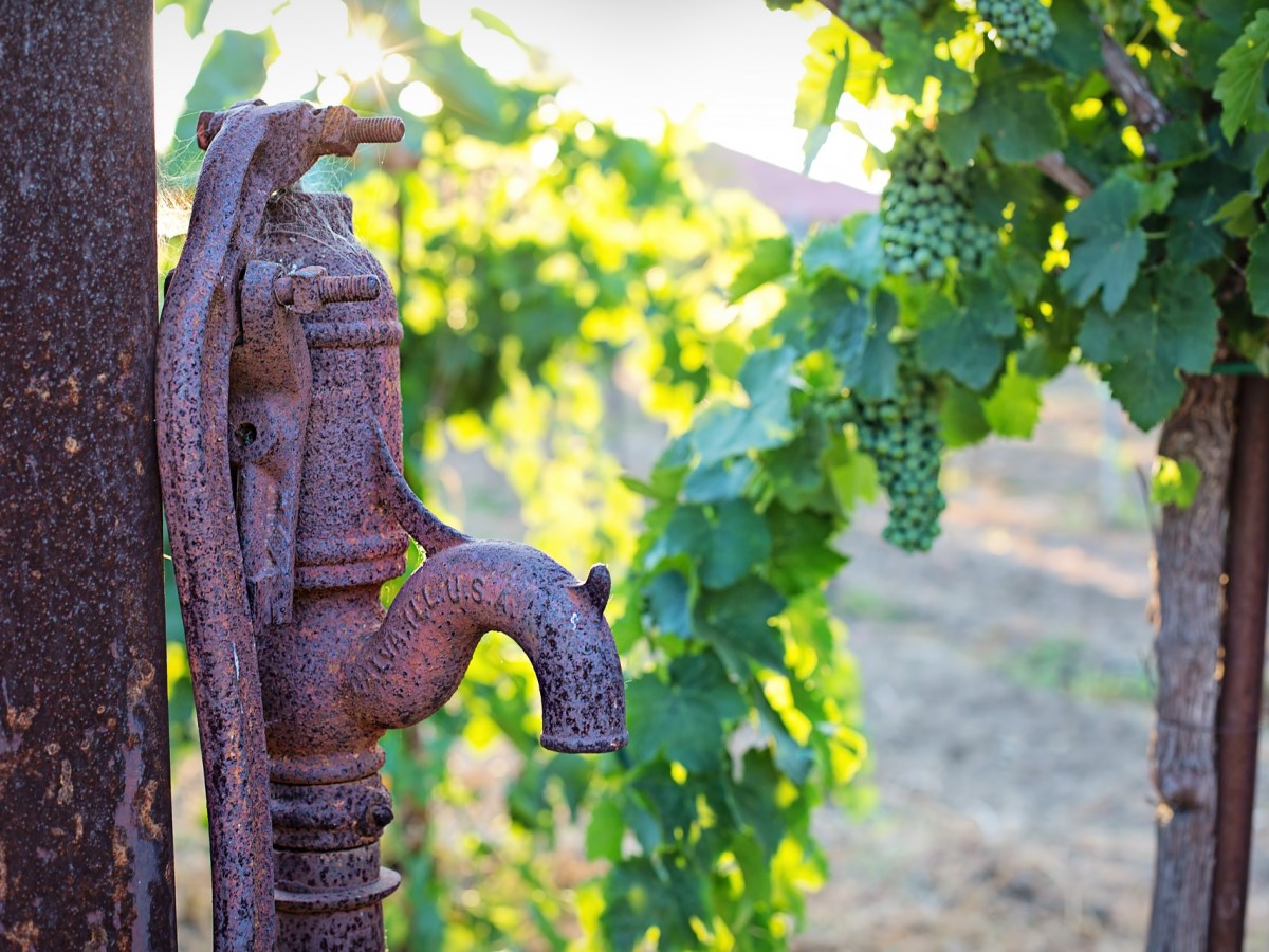 LA GUERRA POR EL&nbsp;AGUA