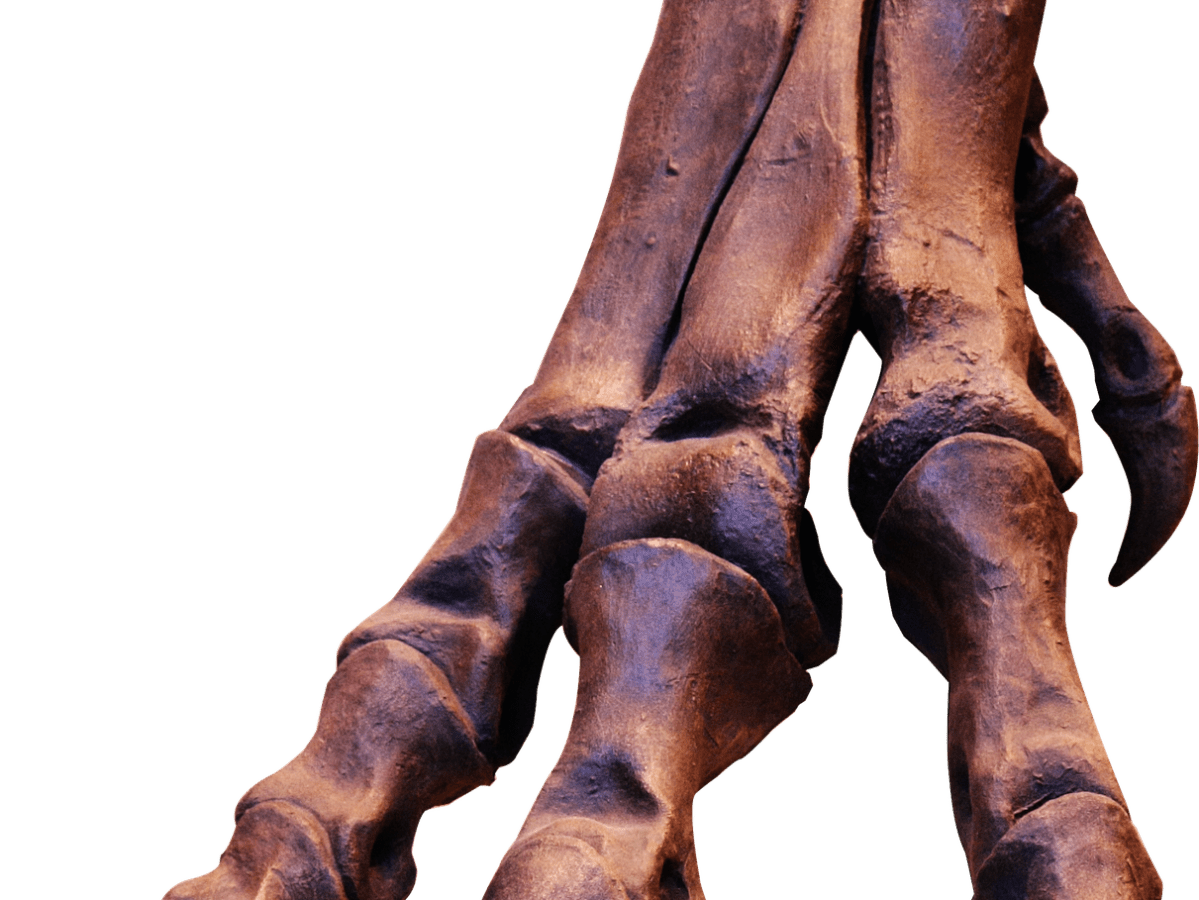 LA “PESADILLA” Y “EL PERRO DEL INFIERNO” ANDAN&nbsp;SUELTOS