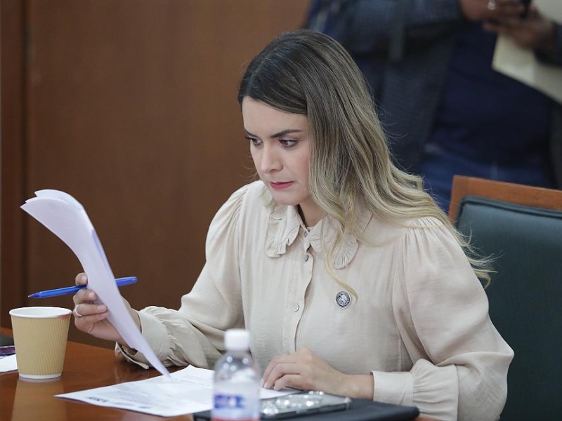 SERÁ TRANSPARENTE EL ANÁLISIS DE LAS INICIATIVAS DE LEY DE INGRESOS Y PRESUPUESTO DE EGRESOS&nbsp;2026.