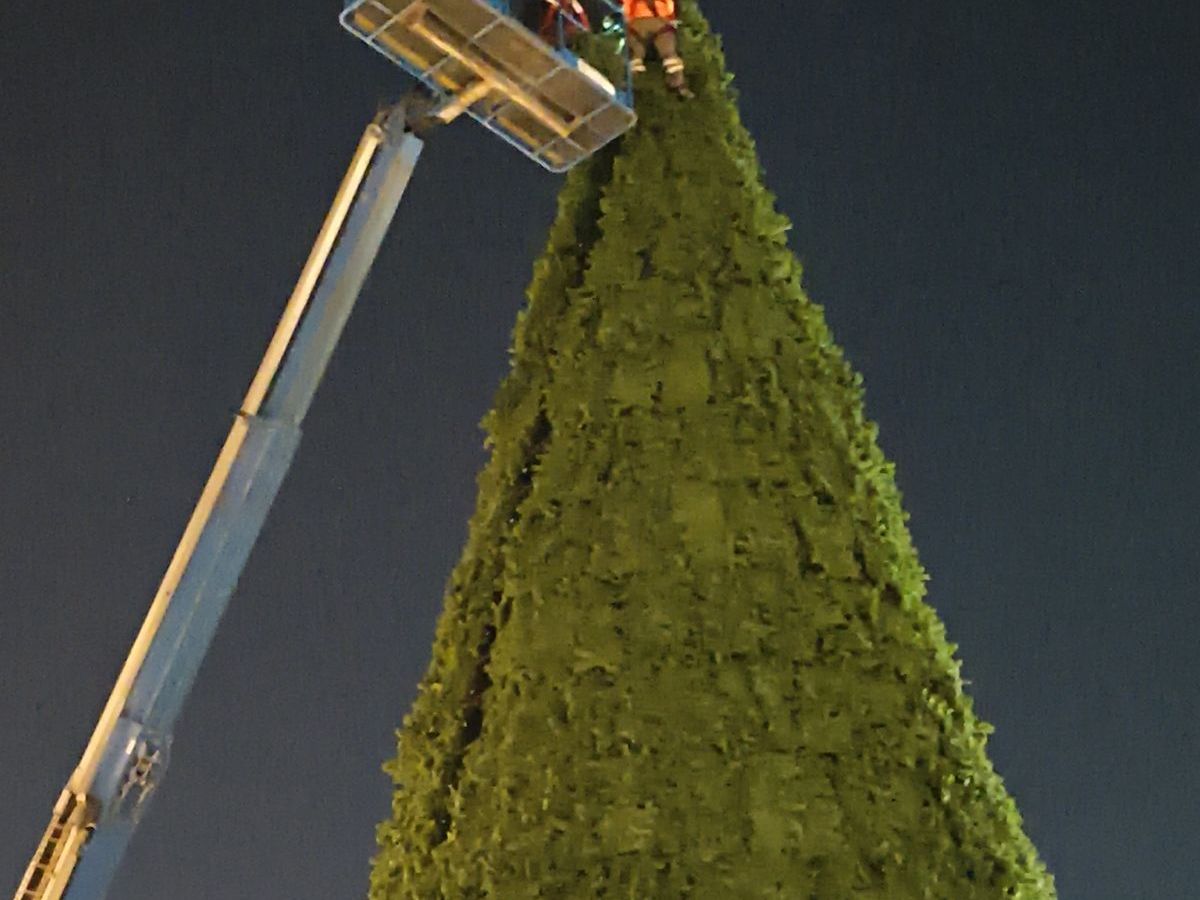 SE ILUMINA SAN LUIS CAPITAL PARA RECIBIR LA&nbsp;NAVIDAD