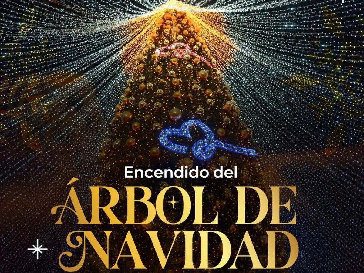 EL 30 DE NOVIEMBRE EL MUNICIPIO&nbsp; ENCENDERÁ EL ARBOL NAVIDEÑO Y DARÁN INICIO LAS FESTIVIDADDS DE LA ÉPOCA&nbsp;DECEMBRINA