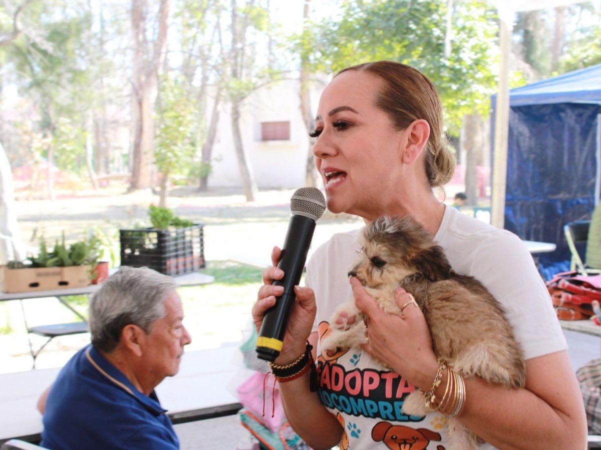 LA LEY DE INGRESOS 2026 GARANTIZA ACCIONES PARA BIENESTAR&nbsp;ANIMAL