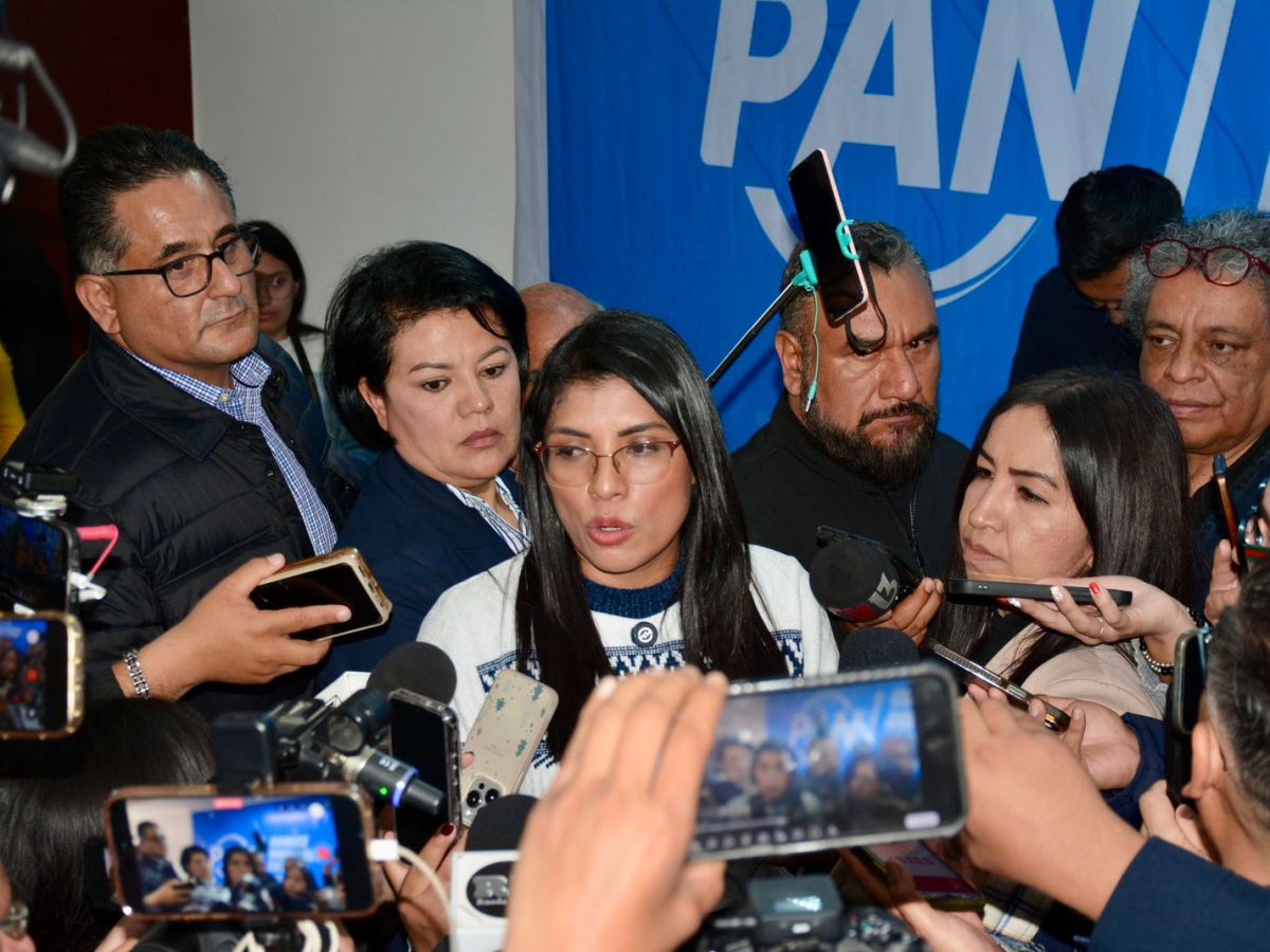 EL PAN TAMBIÉN PRESENTARÁ ACCIÓN DE&nbsp; INCONSTITUCIONA__LIDAD CONTRA LA LLAMADA,» LEY&nbsp;GOBERNADORA»