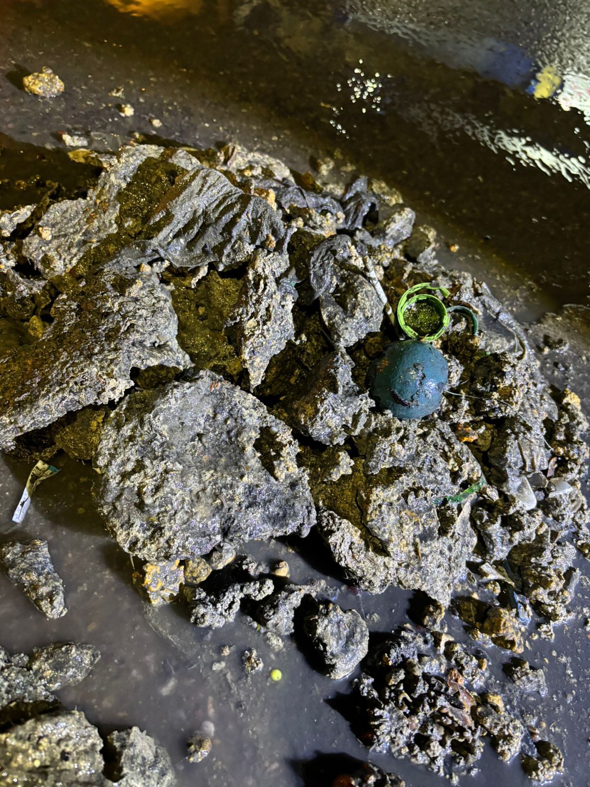 RETIRAN 100 KILOS DE DESECHOS Y TAPÓN DE GRASA QUE&nbsp; PROVOCÓ FUGA EN&nbsp;PAPAGAYOS