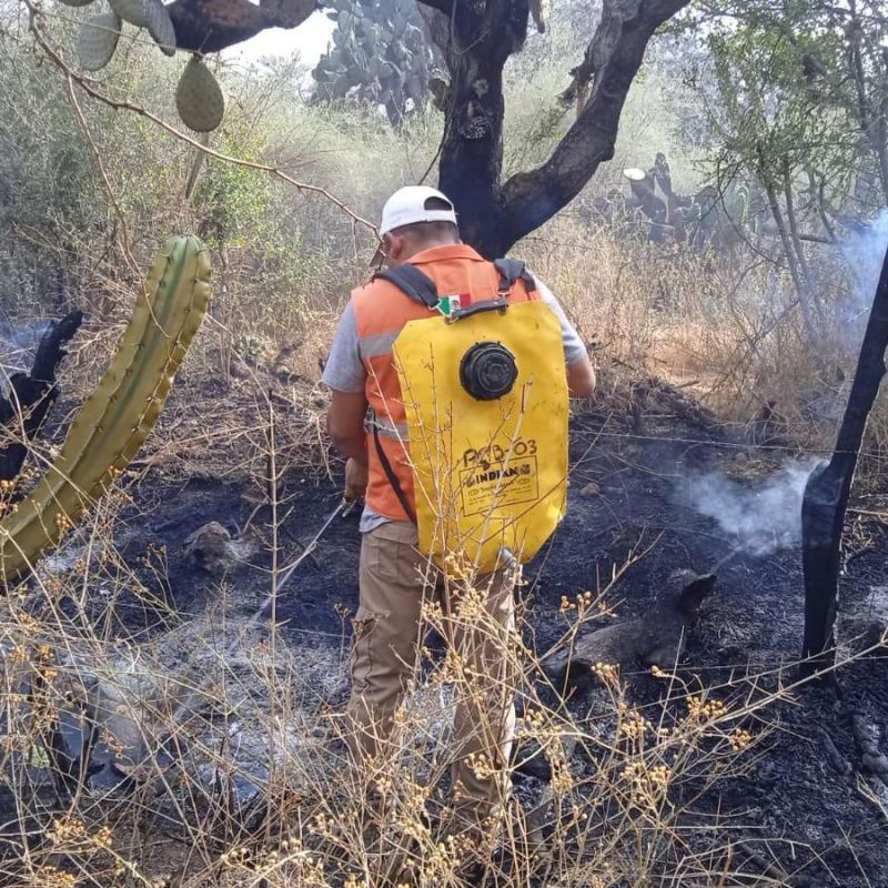 ATENCIÓN PREVENTIVA Y OPORTUNA DE AUTORIDADES EN BOCAS ANTE&nbsp;INCENDIOS