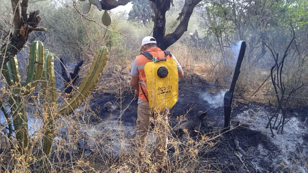 ATENCIÓN PREVENTIVA Y OPORTUNA DE AUTORIDADES EN BOCAS ANTE&nbsp;INCENDIOS