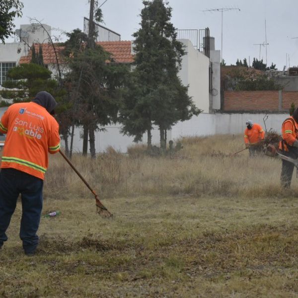 REALIZAN LABORES DE LIMPIEZA, MEJORAMIENTO DE ÁREAS VERDES Y&nbsp; ALUMBRADO EN LA COLONIA&nbsp;ALAMITOS