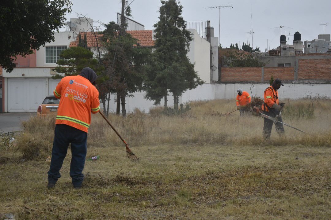 REALIZAN LABORES DE LIMPIEZA, MEJORAMIENTO DE ÁREAS VERDES Y&nbsp; ALUMBRADO EN LA COLONIA&nbsp;ALAMITOS