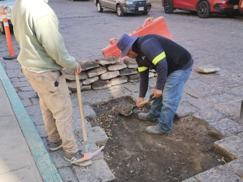 REPONE EL MUNICIPIO ADOQUIN EN LA CALLE DE TOMASA&nbsp;ESTÉVEZ