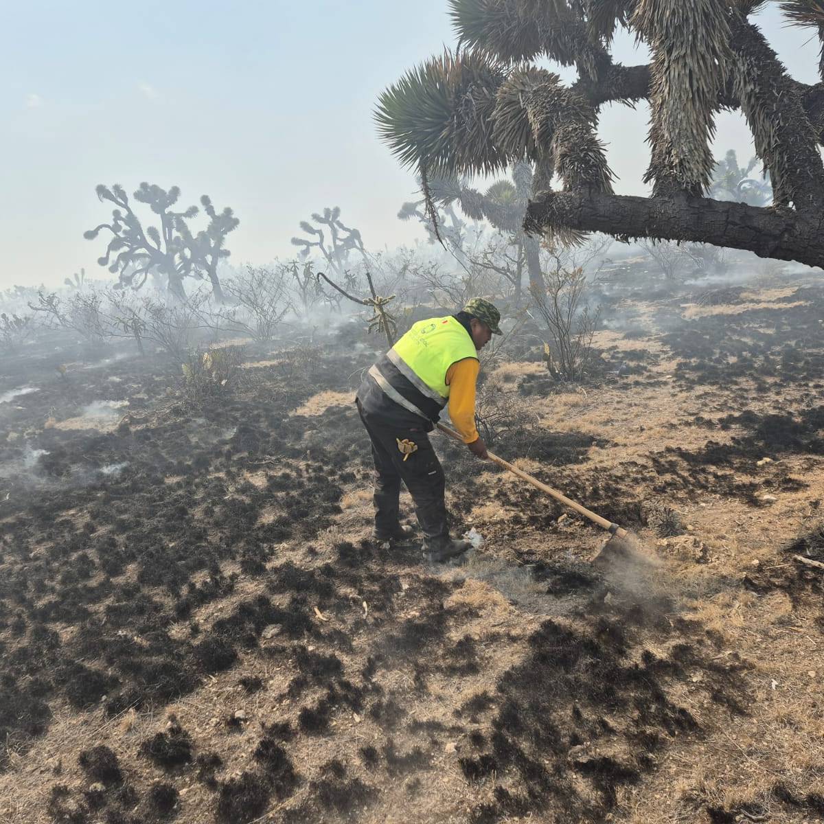 PROTECCIÓN CIVIL ESTATAL&nbsp; CONTIENE INCENDIO FORESTAL EN SANTO&nbsp;DOMINGO