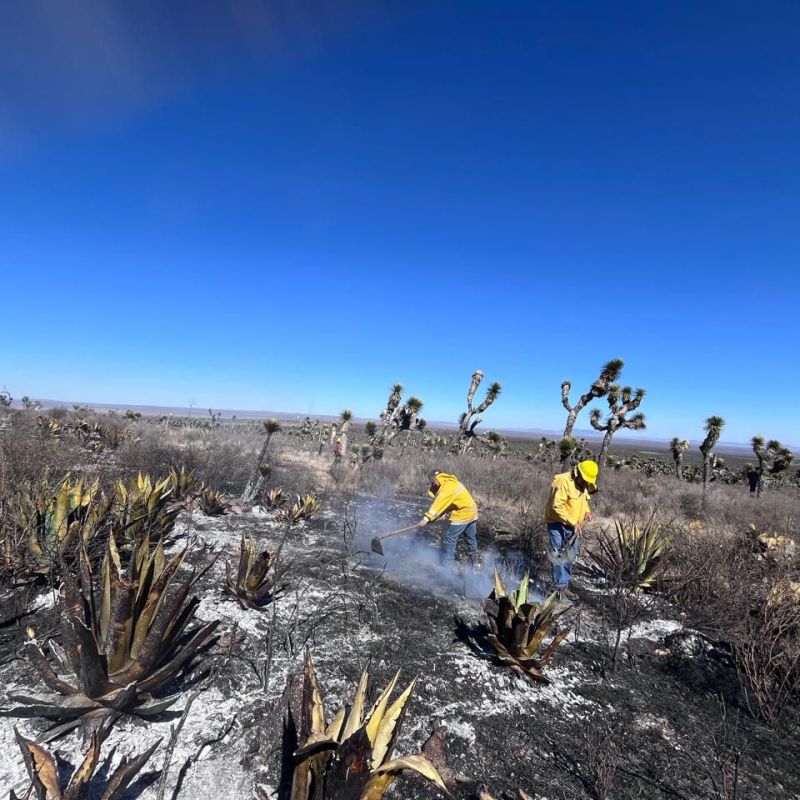 QUEDÓ CONTROLADO EL INCENDIO EN SANTO&nbsp;DOMINGO