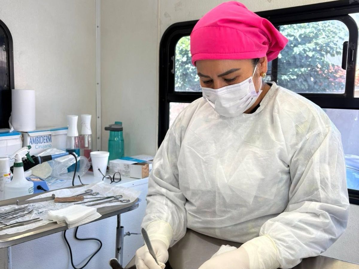 AMPLÍAN COBERTURA DE&nbsp; JORNADAS INTINERANTES MUNICIPALES A FAVOR DE PERROS Y&nbsp;GATOS