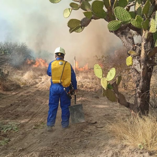 SE SOFÓCO INCENDIO QUE AFECTÓ MÁS DE 100 HECTÁREAS EN COMUNIDADES DE&nbsp;BOCAS