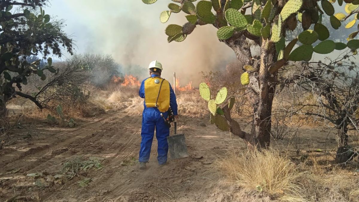 SE SOFÓ INCENDIO QUE AFECTÓ MÁS DE 100 HECTÁREAS EN COMUNIDADES DE&nbsp;BOCAS