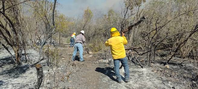ASEGURA CEPC TENER CONTROLADOS LOS INCENDIOS EN MEXQUITIC Y CIUDAD&nbsp;FERNÁNDEZ
