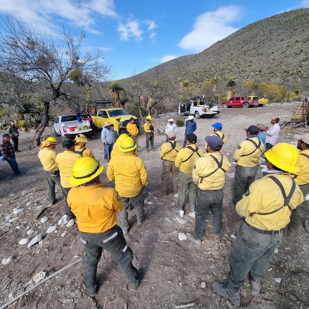 DETIENEN A UNA PERSONA PRESUNTA RESPONSABLE DE PROVOCAR&nbsp;INCENDIOS