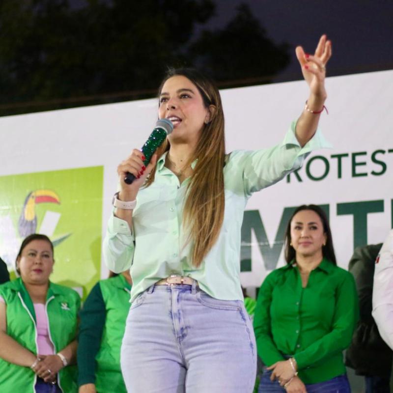 EL PARTIDO VERDE INSTALA SU COMITÉ EN CIUDAD&nbsp;VALLES