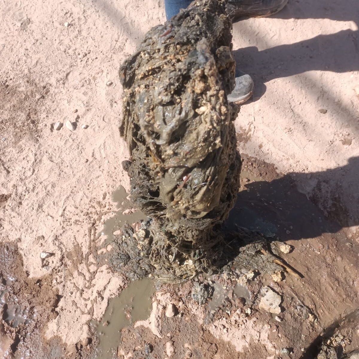 RETIRA INTERAPAS GRASA Y TRAPOS DE LA RED SANITARIA DE SAN FERNANDO EN EL&nbsp;SAUCITO