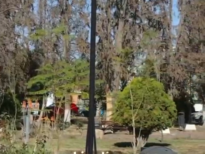 AVANZA RECUPERACIÓN DEL TRADICIONAL JARDÍN DE JUAN RUÍZ DE&nbsp;ALARCÓN