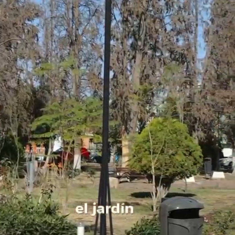 AVANZA RECUPERACIÓN DEL TRADICIONAL JARDÍN DE JUAN RUÍZ DE&nbsp;ALARCÓN