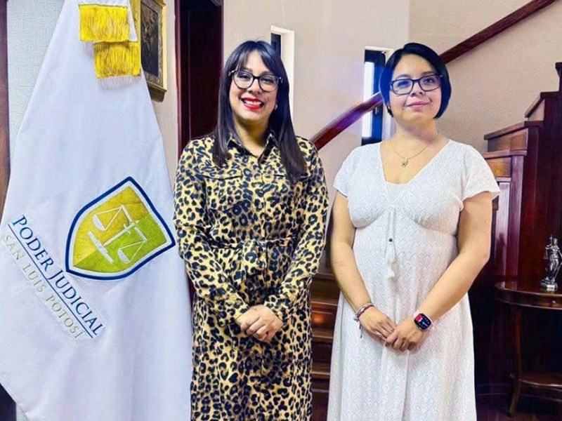 ES NECESARIO QUE EL PADRÓN DE DEUDORES ALIMENTARIOS CUMPLA CON EL OBJETIVO DE GARANTIZAR EL DERECHO DE ALIMENTOS DE NIÑAS, NIÑOS Y ADOLESCENTES: DIP. JESSICA GABRIELA LÓPEZ&nbsp;TORRES