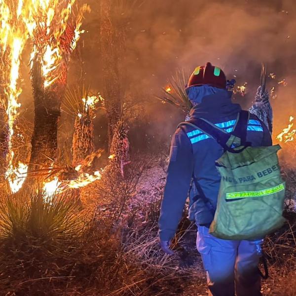 REPORTAN INCENDIO LA NOCHE DE MARTES EN CAMINO A PALOMAS EN SOLEDAD DE GRACIANO&nbsp;SÁNCHEZ