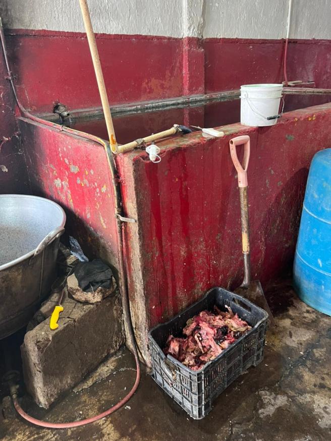 CLAUSURAN RASTRO CLANDESTINO EN LAS&nbsp;PILITAS