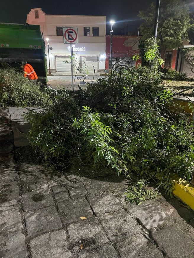 ATIENDE SERVICIO MUNICIPALES DE LA CAPITAL ÁRBOLES CAÍDOS TRAS LAS&nbsp;LLUVIAS