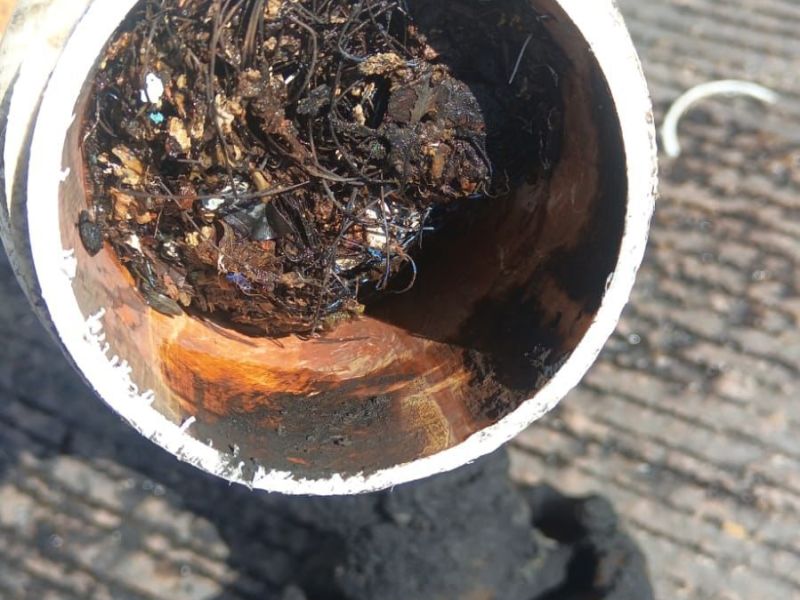 RAÍCES IMPEDÍAN LLEGADA DE AGUA A CALLES DE LAS&nbsp;LOMAS