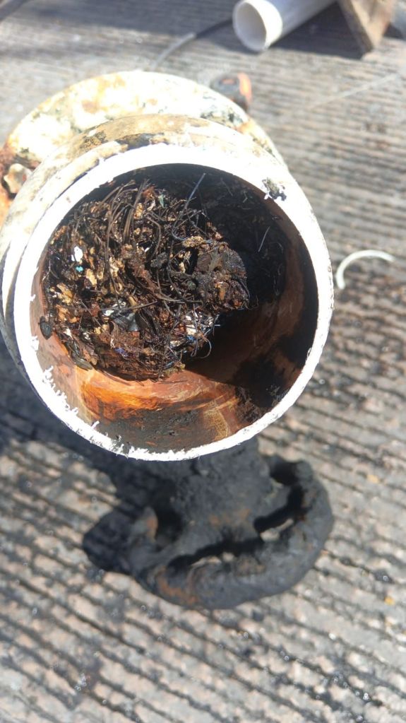 RAÍCES IMPEDÍAN LLEGADA DE AGUA A CALLES DE LAS&nbsp;LOMAS