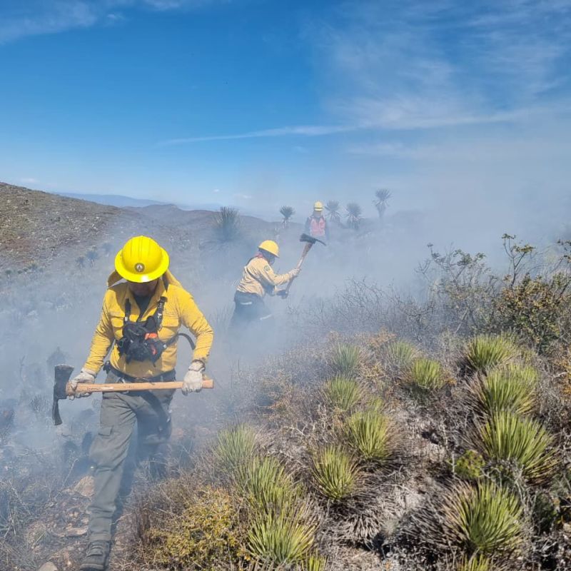 REPORTAN 47 INCENDIOS ATENDIDOS EN LO QUE VA DEL PRESENTE&nbsp;AÑO