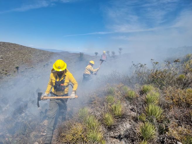 REPORTAN 47 INCENDIOS ATENDIDOS EN LO QUE VA DEL PRESENTE&nbsp;AÑO